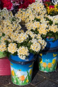Installations florales colorées dans les rues historiques de Gérone pendant la fête des fleurs.